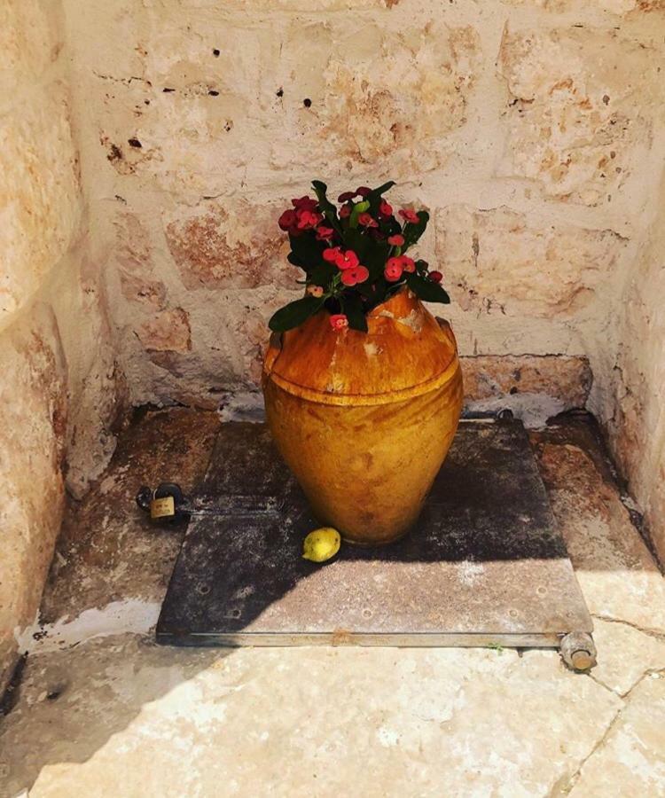 Trulli Alla Controra Conversano Eksteriør billede